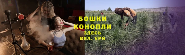 apvp Арсеньев