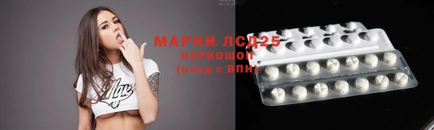 apvp Арсеньев