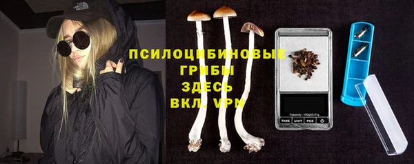 твердый Аркадак