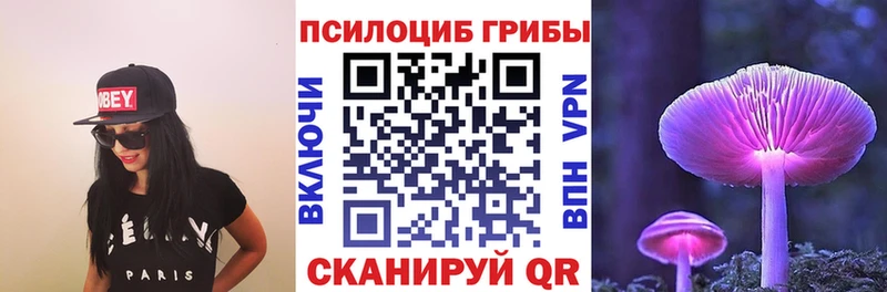 купить закладку Тырныауз Галлюциногенные грибы Psilocybine cubensis