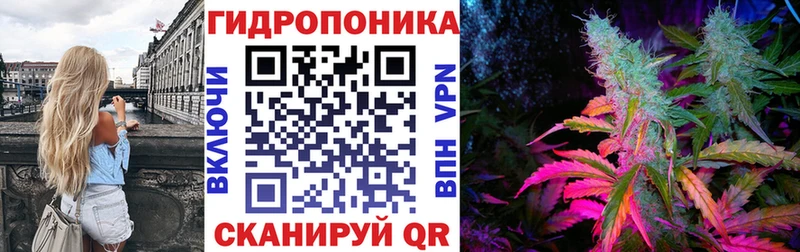 где найти наркотики  Тырныауз  мега ссылка  Бошки Шишки OG Kush 